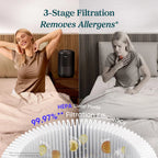 LEVOIT Core300-P Air Purifier for Home Allergens & Pet Hair