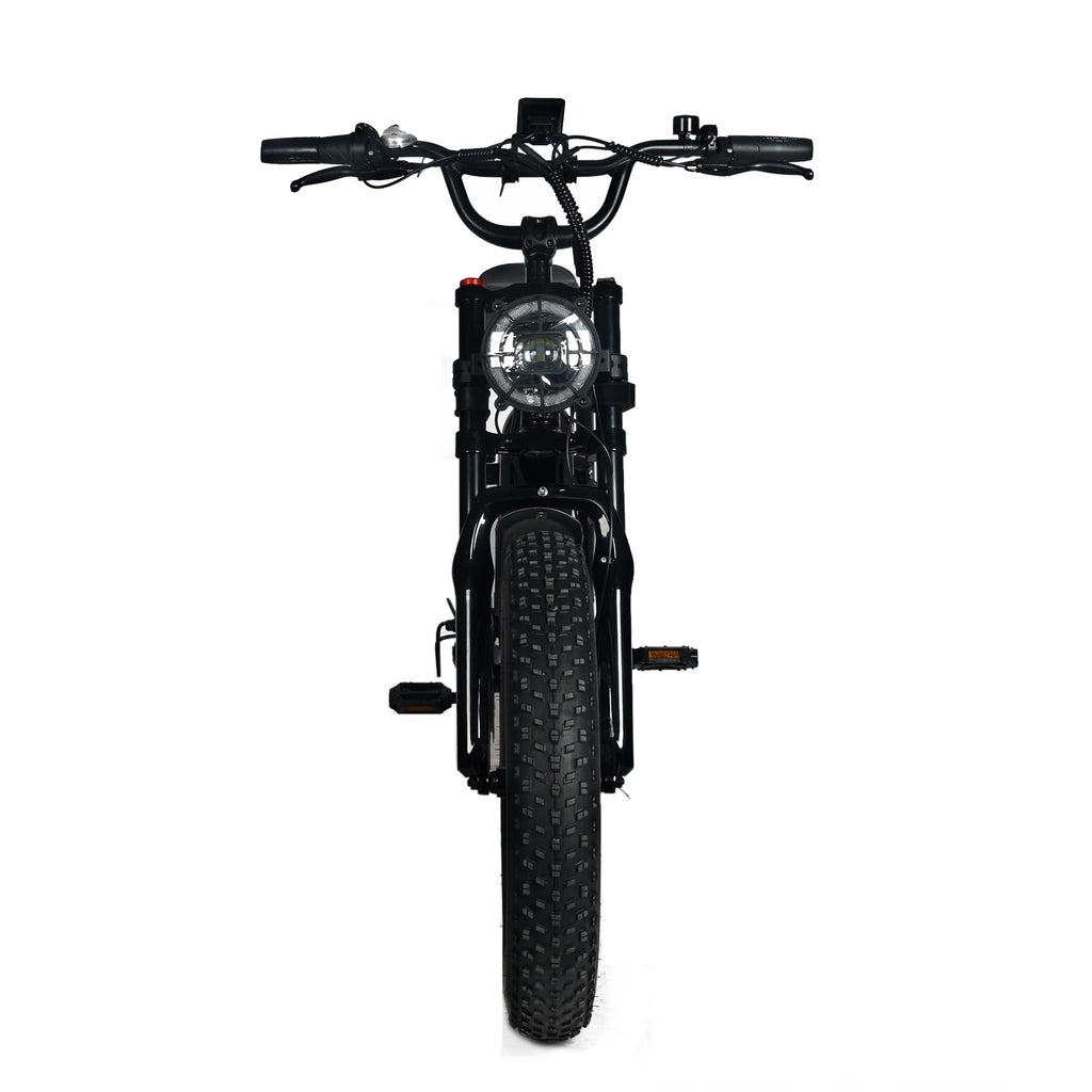 Electric Mountain Bike for Adults | 20 x 4.0 Fat Tires, 1000W Motor, 48V 20Ah Removable Battery, Max Speed 45MPH, Shi Mano 7-Speed for Off-Road Adventures