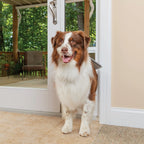 PETSAFE Sliding Glass Pet Door - No-Cut DIY Install for Renters
