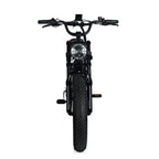 Electric Mountain Bike for Adults | 20 x 4.0 Fat Tires, 1000W Motor, 48V 20Ah Removable Battery, Max Speed 45MPH, Shi Mano 7-Speed for Off-Road Adventures